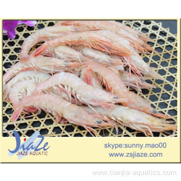 frozen pink shrimp IQF (Solenocera Meantho)